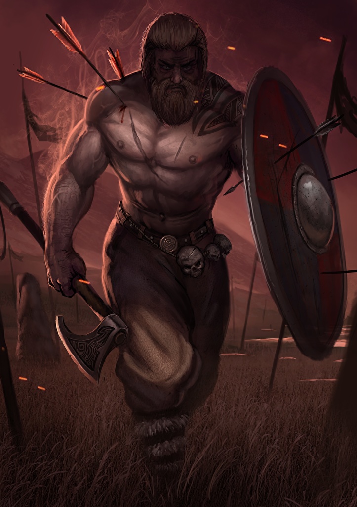 Warriors_Men_Viking_Battle_axes_Shield_516909_723x1024.jpg