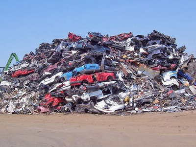 Кладбище для Бони.jpg