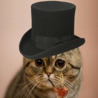 Gentleman_Cat