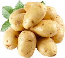 AmazingPotato